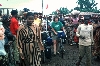 Mbouda-Bamenda road: weekly market in village