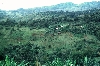 Mbouda-Bamenda road: countryside