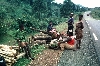 Mbouda-Bamenda road: collecting and selling fire wood
