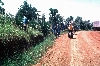 Bamenda-Ndop road in 1986: with elementary school students