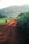Ndop-Jakiri road: Upper Nun Valley