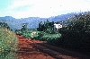 Ndop-Jakiri road: Upper Nun Valley