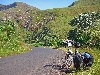 Bamenda-Ndop road highlands: road and waterfall