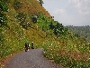 Ndop-Jakiri road: climbing the hill our of Babessi