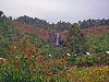 Jakiri-Kumbo road: waterfall
