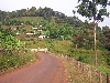 Jakiri-Kumbo road