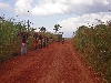 Jakiri-Foumban road: girls head-carrying wood