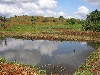 Jakiri-Foumban road: fish pond