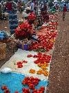 Foumban market: pepper and tomato seller