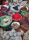 Foumban market: beans and spice seller