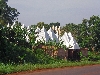 Modern adaptation of tradition Bamilike architecture, Bafoussam-Dschang road