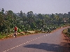 Bafoussam-Dschang road: 