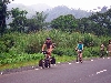 Malong-Dschang road