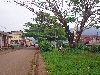 Ngongsamba: boulevard street