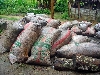 Kumba-Buea road: dried cocoa in bags ready to go to market.