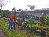 Limbe-Douala road: statue in front on furniture factory