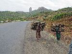 Women hauling wood near God's Tooth rock formation, Adis Zemen, Ethiopia