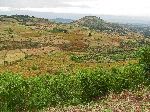 Vista, Hwy 3, near Adis Zemen, Ethiopia