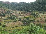 Vista, Hwy 3, near Adis Zemen, Ethiopia