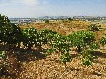 View from near Guzara Castle, near Infranze, Ethiopia