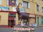 Endemic Walia Ibex statue, Gondar, Ethiopia