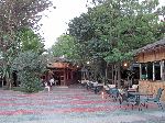 Garden, Lodge Fasil, Gondar, Ethiopia