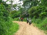 Ghana, Eastern region, dirt road, forest