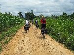 Ghana, Eastern region, dirt road, farmland