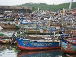 Ghana, Elmina, fishing boats in the harbor