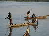 Fishing from canoes, Niger River, Koulikoro Mali