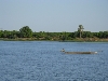 Canoe on the Niger River, Mali