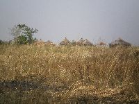 Kara, Togo, traditional house in sorghum farm