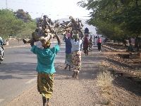 Natitingou, Benin, street scene, women head carrying firewood into town.