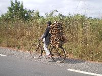 Bohicon, Benin, bicyclist hauling firewood
