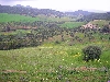 Countryside near Teboursouk