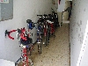 Bicycles parked in hall at the hotel, Tabarka
