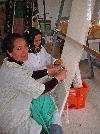 Women weaving knotted carpet
