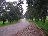 road north of Feriana