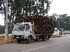 Truck loaded with cork oak bark