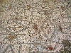 Byzantine era mosaic, baths, Bulla Regia