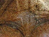 double vaulted ceiling, House of Venus, Bulla Regia