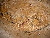mosaic, House of Fisher, Bulla Regia