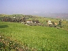 Fertile farm land south of Jendouba