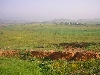 Farm land south of Jendouba