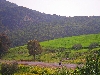 hills on road between Jendouba and El Kef