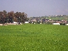 village on road between Jendouba and El Kef