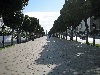 Central promenade on Av Habib Bouguiba, with clock tower, Tunis