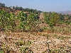 Jarai village near Pleiku