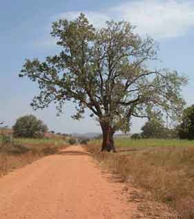 The Road to Benin