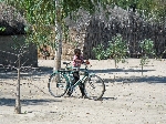 Bicyclist near Ngoma Namibia